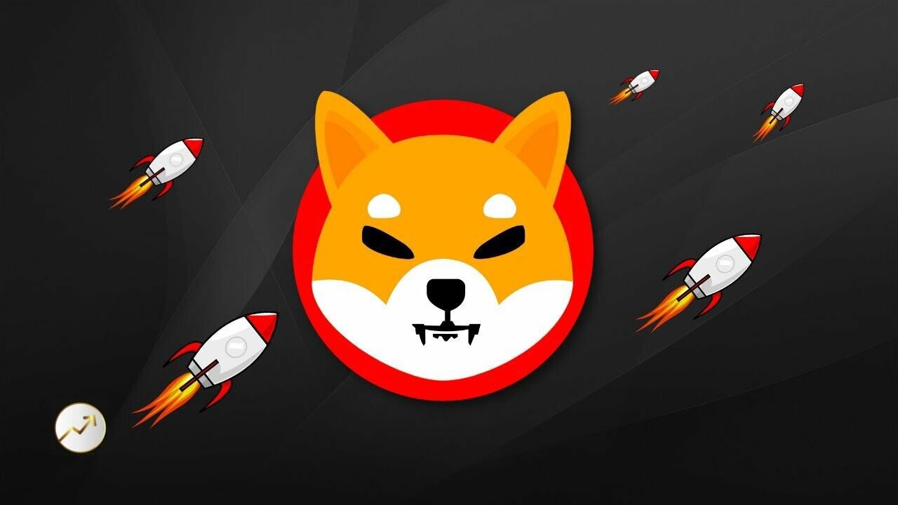 Taxas de combustível Shiba Inu Money