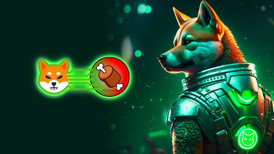 moeda shiba inu