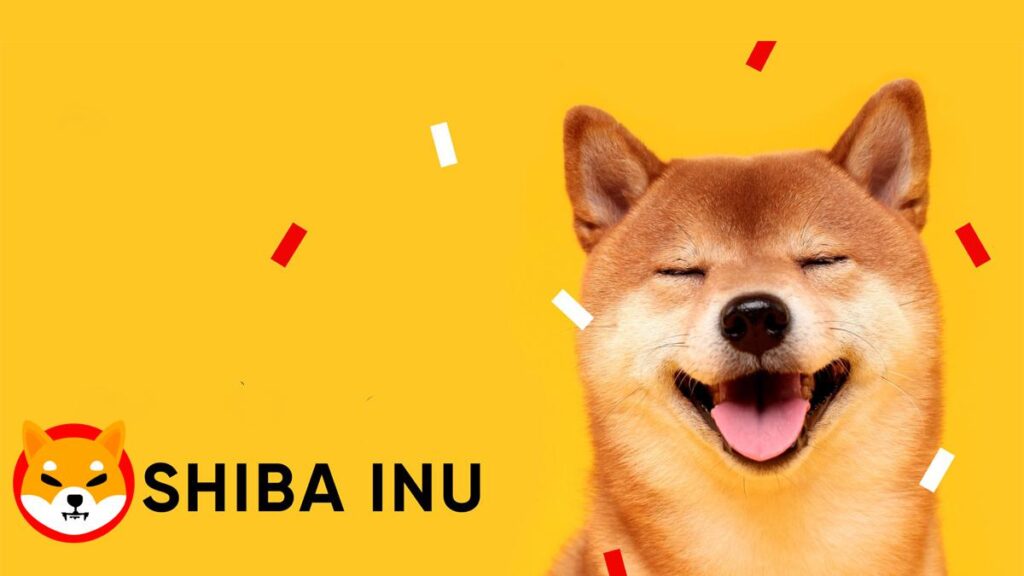 cachorro shiba inu