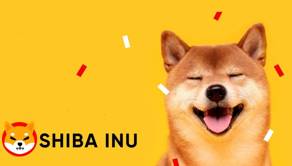 cachorro shiba inu